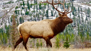 Ryan Zinke Is Actually Trying to Improve Public Lands For a Change<em></em>